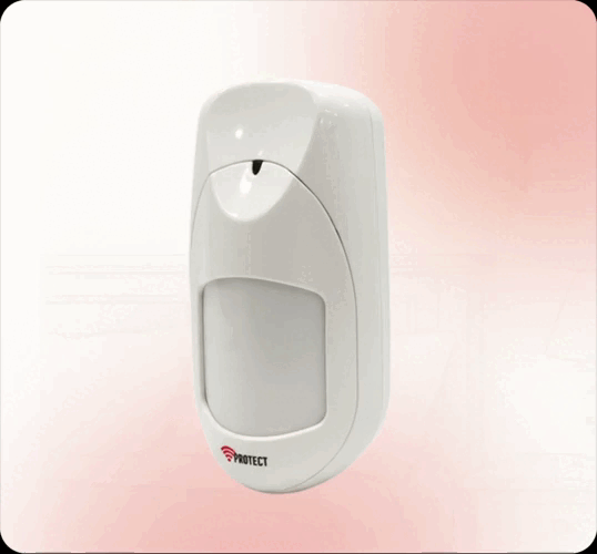 Motion Sensor